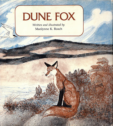 Dune Fox